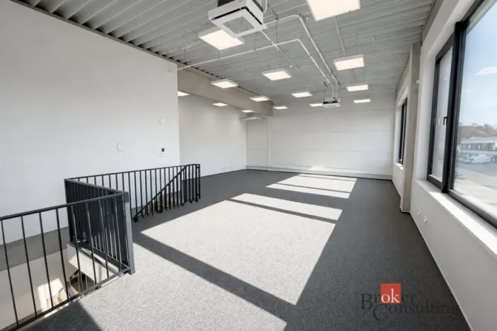 Pronájem výrobních prostor, Brno, Vinohradská, 444 m2