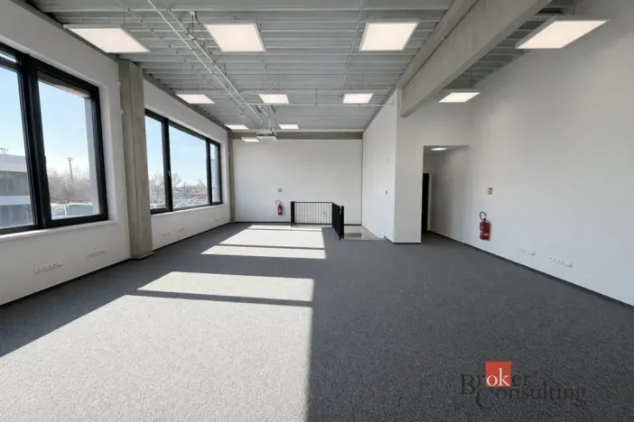 Pronájem výrobních prostor, Brno, Vinohradská, 444 m2