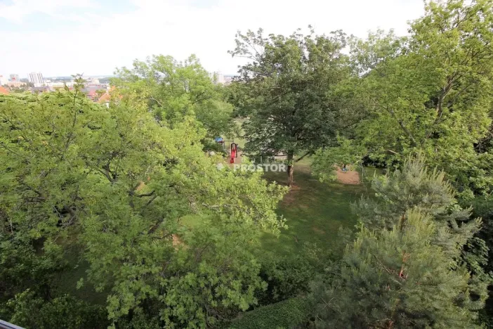 Pronájem bytu 3+kk, Praha - Žižkov, Pod kapličkou, 85 m2