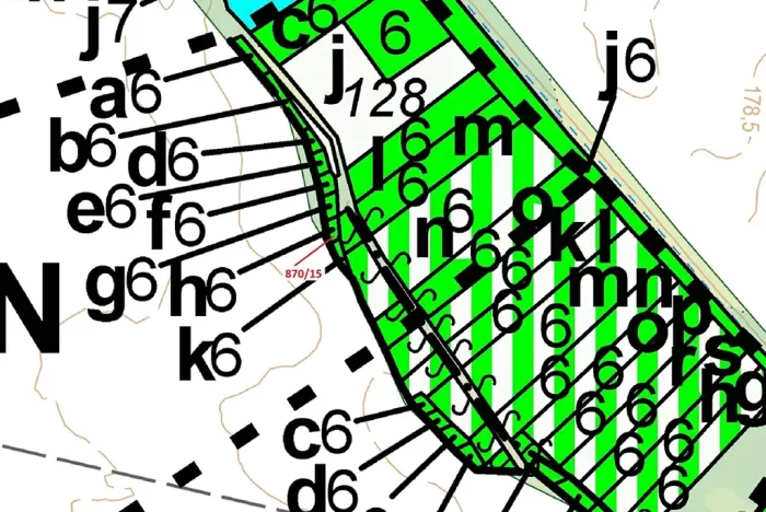 Dražba lesa, Přísnotice, 60 m2