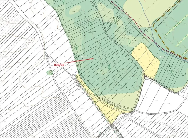 Dražba lesa, Přísnotice, 1778 m2