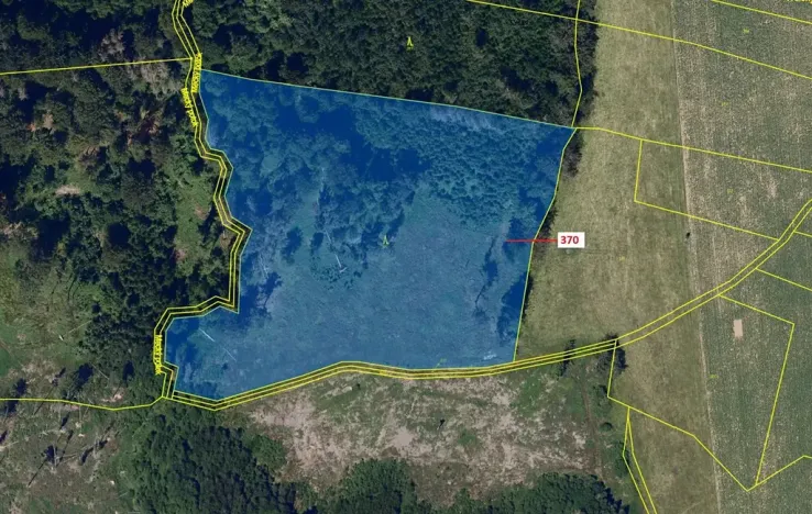 Dražba lesa, Libkov, 25540 m2