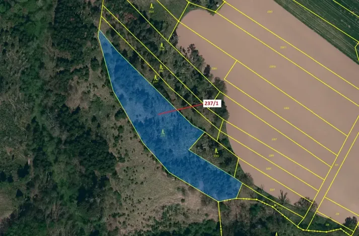 Dražba lesa, Čikov, 5885 m2