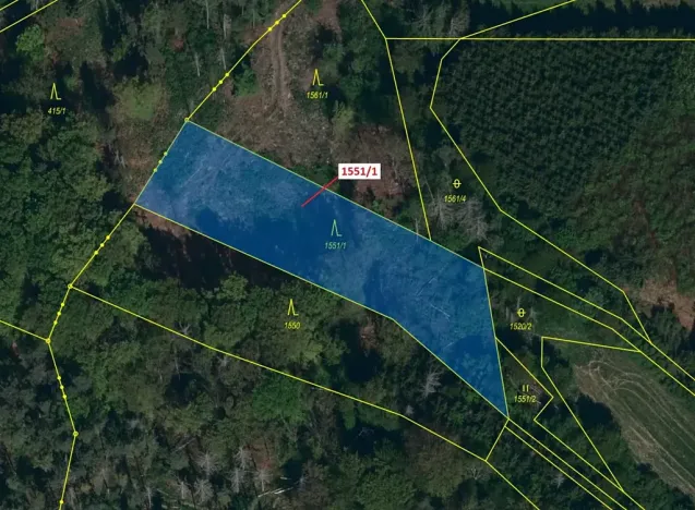 Dražba lesa, Přibyslavice, 2478 m2