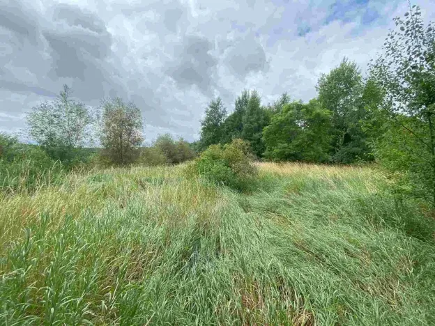 Prodej pozemku, Aš, 2675 m2