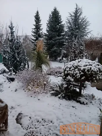 Prodej rodinného domu, Uherský Brod, Jabloňová, 124 m2