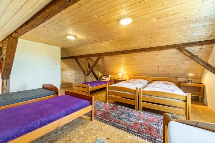 Prodej chaty, Hvožďany, 260 m2