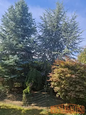 Prodej chalupy, Uherský Brod, Brodská, 378 m2