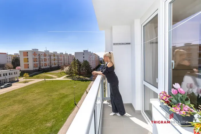 Prodej bytu 2+1, Hradec Králové - Moravské Předměstí, Vysocká, 55 m2