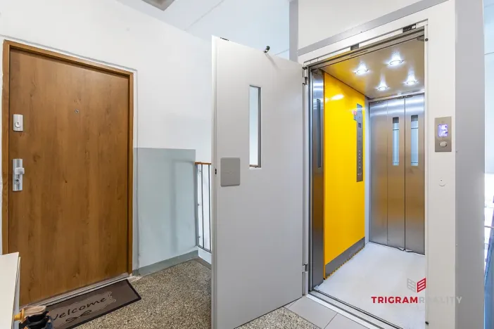 Prodej bytu 2+1, Hradec Králové - Moravské Předměstí, Vysocká, 55 m2