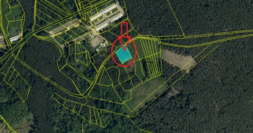 Prodej lesa, Vracov, 3963 m2