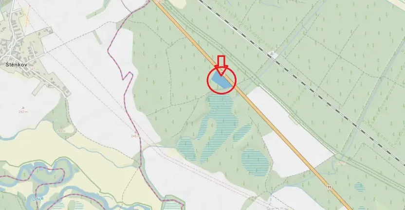 Prodej lesa, Týniště nad Orlicí, 6788 m2