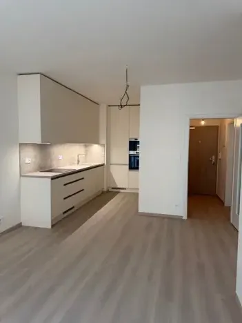 Pronájem bytu 2+kk, Praha - Vysočany, Gerstelova, 53 m2