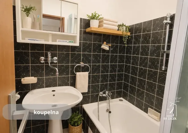 Prodej rodinného domu, České Budějovice, Zeyerova, 197 m2