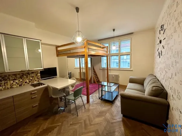Pronájem bytu 1+kk, Praha - Žižkov, Krásova, 26 m2