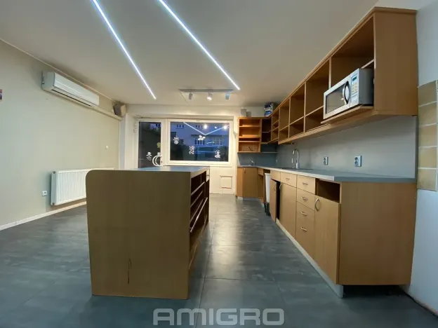 Pronájem obchodního prostoru, Brno, Merhautova, 56 m2