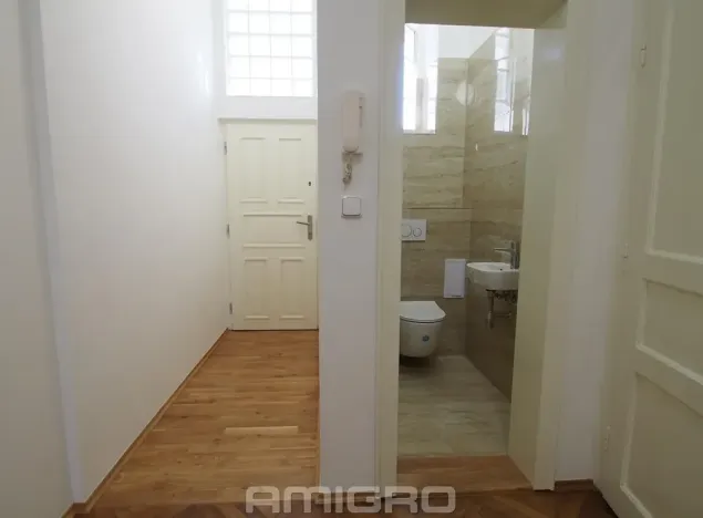 Pronájem bytu 1+1, Brno, Česká, 55 m2