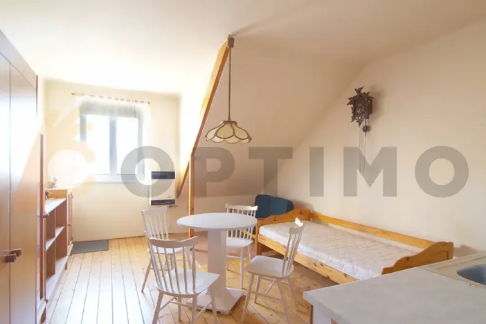 Prodej bytu 1+1, Praha - Žižkov, Na Balkáně, 69 m2