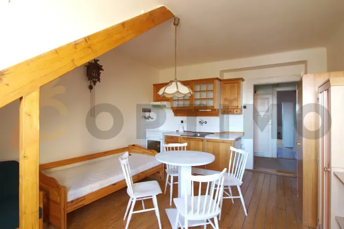 Prodej bytu 1+1, Praha - Žižkov, Na Balkáně, 69 m2