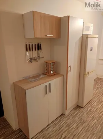 Pronájem bytu 3+1, Most, Františka Malíka, 69 m2