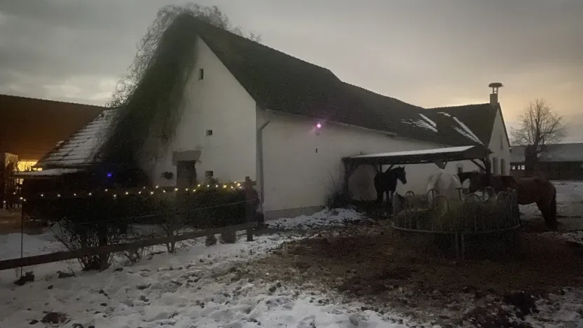 Prodej komerční, Pluhův Žďár - Jižná, 28792 m2