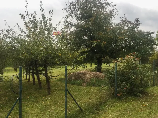 Prodej rodinného domu, Sedlčany, Sedlecká, 125 m2