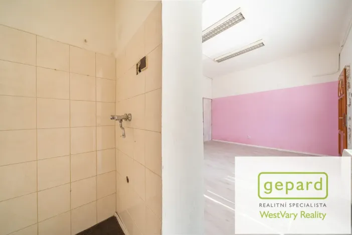 Prodej rodinného domu, Kynšperk nad Ohří, Jana Nerudy, 260 m2