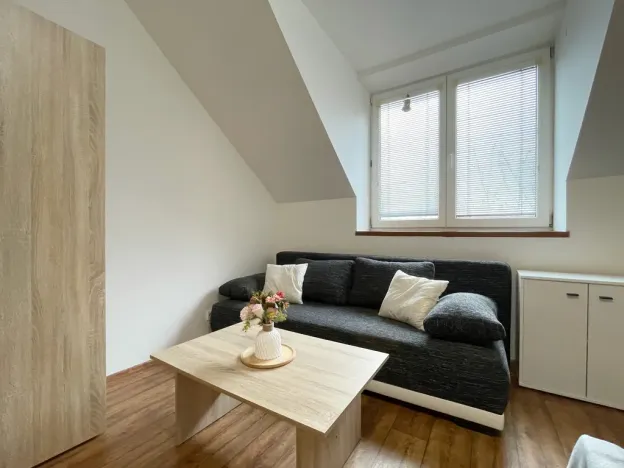 Pronájem bytu 1+kk, Olomouc - Nová Ulice, Balcárkova, 25 m2