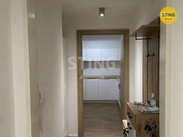 Pronájem bytu 1+kk, Ostrava, S. K. Neumanna, 30 m2