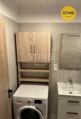 Pronájem bytu 1+kk, Ostrava, S. K. Neumanna, 30 m2