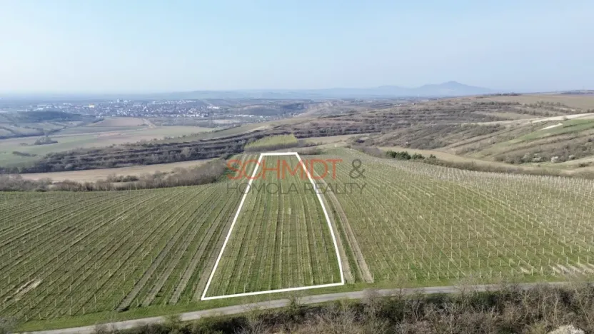 Prodej sadu/vinice, Němčičky, 11748 m2