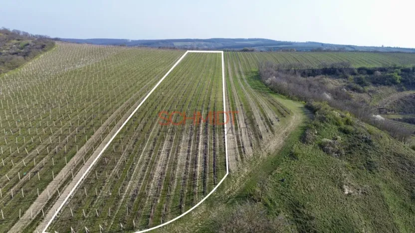 Prodej sadu/vinice, Němčičky, 11748 m2