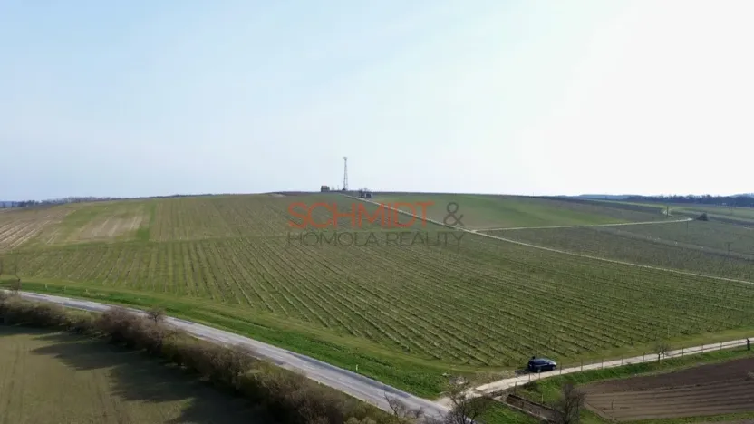 Prodej sadu/vinice, Němčičky, 11748 m2