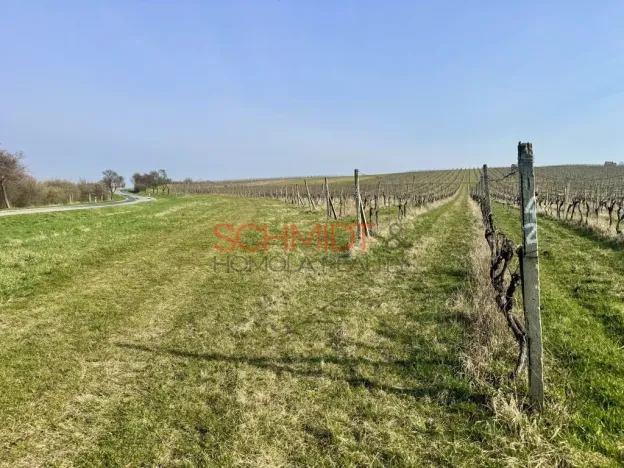 Prodej sadu/vinice, Němčičky, 11748 m2