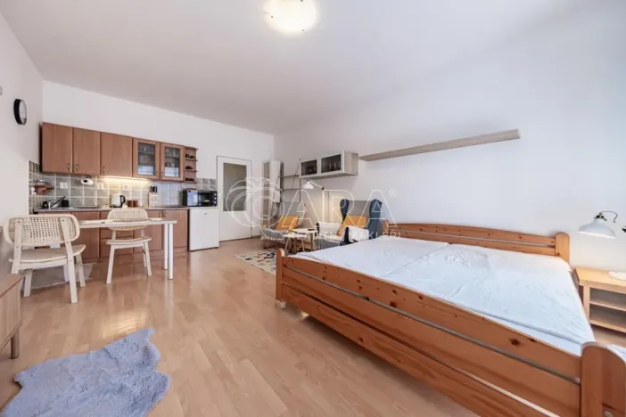 Pronájem bytu 1+kk, Praha - Záběhlice, Záběhlická, 32 m2
