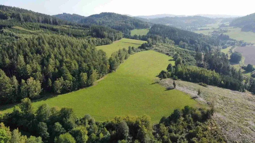 Prodej pole, Chlistov, 4212 m2