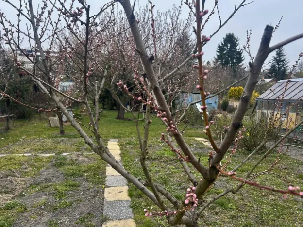 Prodej chaty, Kladno, 9 m2