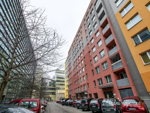 Pronájem bytu 3+kk, Praha - Žižkov, Přemyslovská, 65 m2