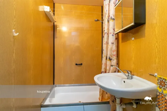 Prodej bytu 1+1, Plzeň - Severní Předměstí, Hodonínská, 47 m2