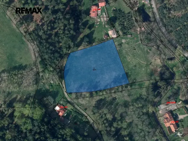 Prodej louky, Cvikov, 5335 m2