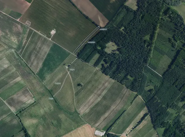 Prodej pole, Starý Poddvorov, 6005 m2