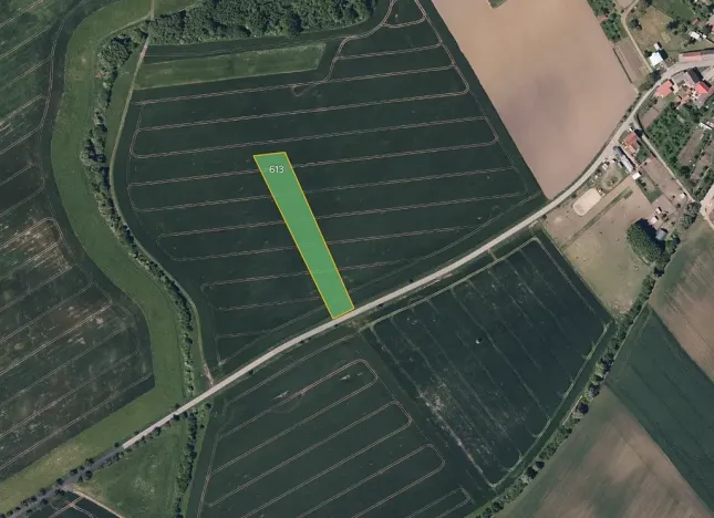 Prodej pole, Pacetluky, 6457 m2