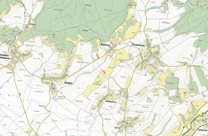 Prodej pole, Pacetluky, 9183 m2