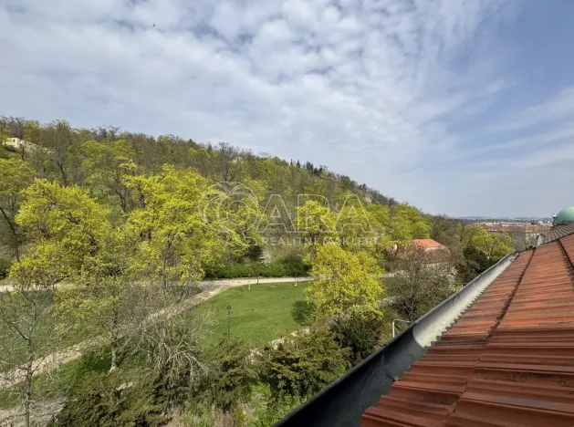 Pronájem bytu 1+kk, Praha - Smíchov, Holečkova, 56 m2