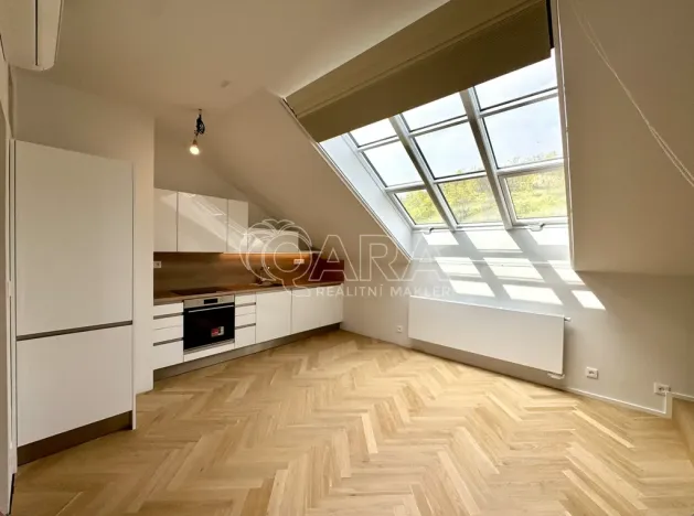 Pronájem bytu 1+kk, Praha - Smíchov, Holečkova, 56 m2