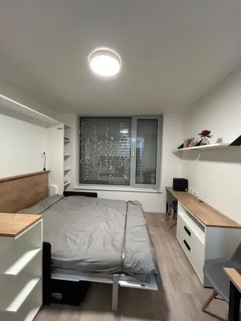 Pronájem bytu 1+kk, Praha - Smíchov, Mozartova, 20 m2