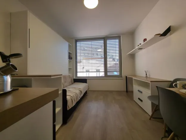 Pronájem bytu 1+kk, Praha - Smíchov, Plzeňská, 20 m2