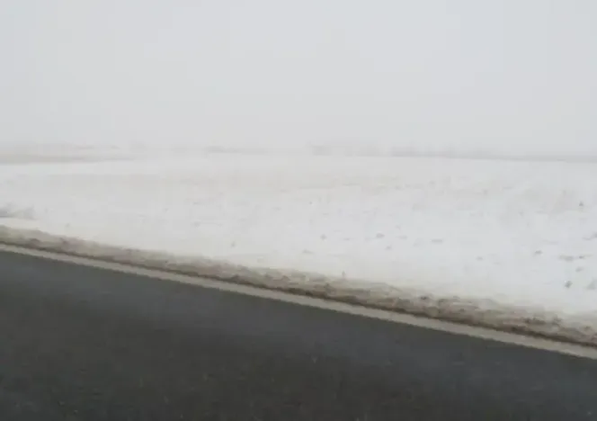 Dražba pole, Osová Bítýška, 1513 m2