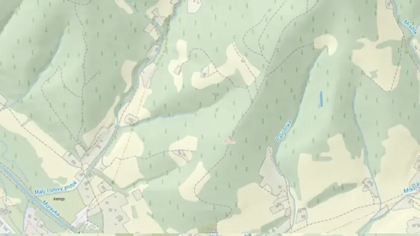 Dražba lesa, Morávka, 57384 m2