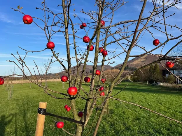 Prodej pole, Kozlovice, 100000 m2